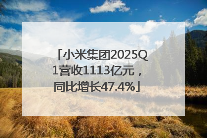 小米集团2025Q1营收1113亿元，同比增长47.4%