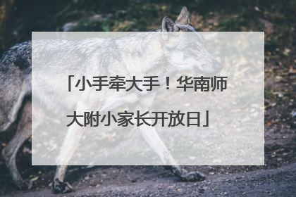 小手牵大手！华南师大附小家长开放日