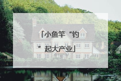 小鱼竿“钓”起大产业