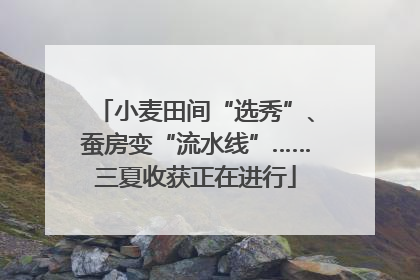 小麦田间“选秀”、蚕房变“流水线”……三夏收获正在进行