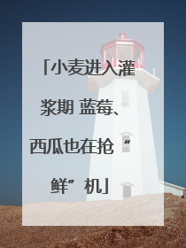 小麦进入灌浆期 蓝莓、西瓜也在抢“鲜”机