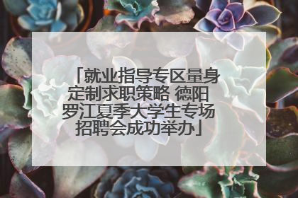 就业指导专区量身定制求职策略 德阳罗江夏季大学生专场招聘会成功举办