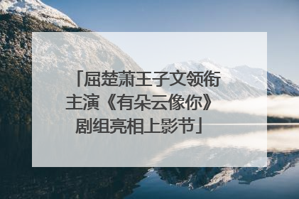 屈楚萧王子文领衔主演《有朵云像你》剧组亮相上影节