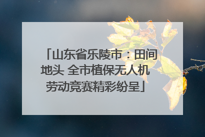 山东省乐陵市：田间地头 全市植保无人机劳动竞赛精彩纷呈
