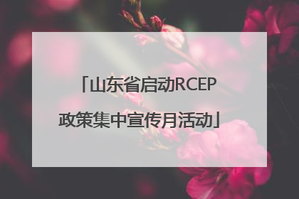 山东省启动RCEP政策集中宣传月活动