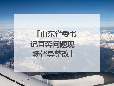 山东省委书记直奔问题现场督导整改