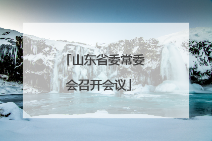 山东省委常委会召开会议