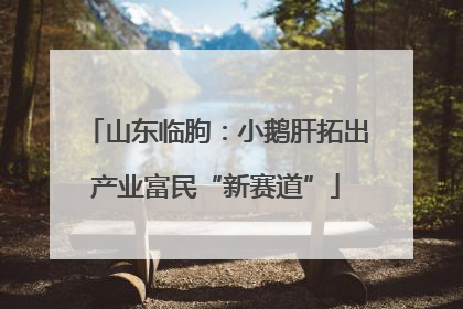 山东临朐：小鹅肝拓出产业富民“新赛道”