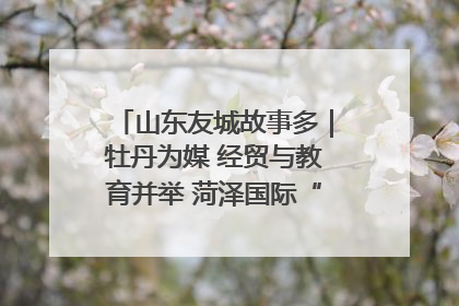 山东友城故事多｜牡丹为媒 经贸与教育并举 菏泽国际“朋友圈”扩容升级