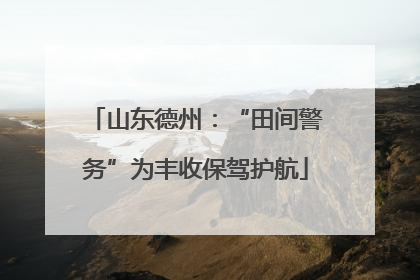 山东德州：“田间警务”为丰收保驾护航