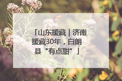 山东援藏｜济南援藏30年，白朗县“有点甜”