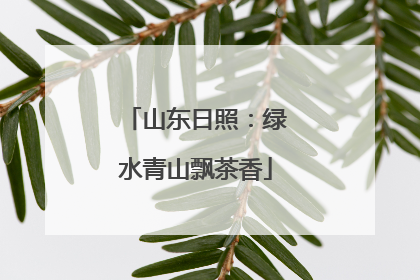 山东日照：绿水青山飘茶香