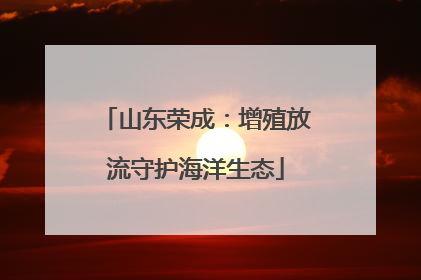 山东荣成：增殖放流守护海洋生态