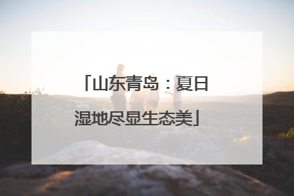 山东青岛：夏日湿地尽显生态美