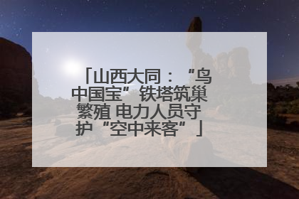 山西大同：“鸟中国宝”铁塔筑巢繁殖 电力人员守护“空中来客”