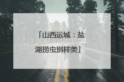 山西运城：盐湖捞虫别样美
