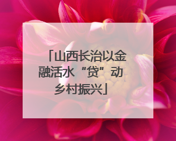 山西长治以金融活水“贷”动乡村振兴