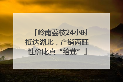 岭南荔枝24小时抵达湖北，产销两旺性价比真“给荔”