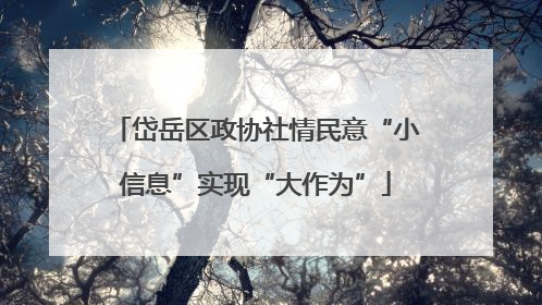 岱岳区政协社情民意“小信息”实现“大作为”