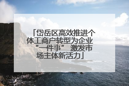 岱岳区高效推进个体工商户转型为企业“一件事” 激发市场主体新活力