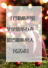 巴勒斯坦驻华使馆举办声援巴勒斯坦人民活动