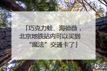 巧克力蛙、海德薇，北京地铁站内可以买到“魔法”交通卡了