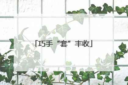巧手“套”丰收
