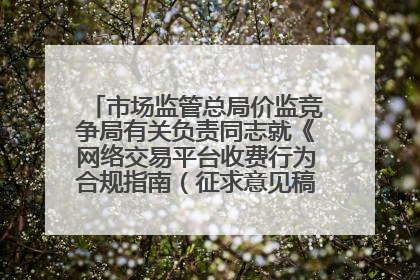 市场监管总局价监竞争局有关负责同志就《网络交易平台收费行为合规指南（征求意见稿）》答记者问