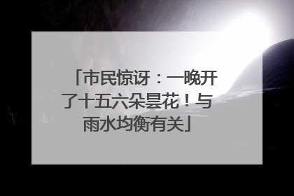 市民惊讶：一晚开了十五六朵昙花！与雨水均衡有关
