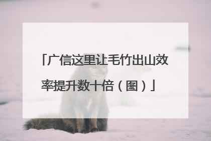 广信这里让毛竹出山效率提升数十倍（图）