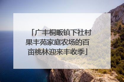 广丰桐畈镇下社村果丰苑家庭农场的百亩桃林迎来丰收季