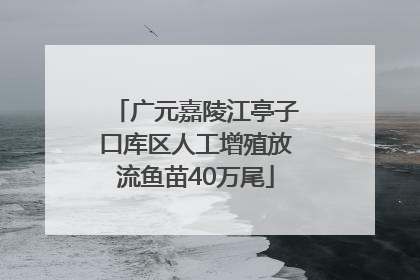 广元嘉陵江亭子口库区人工增殖放流鱼苗40万尾