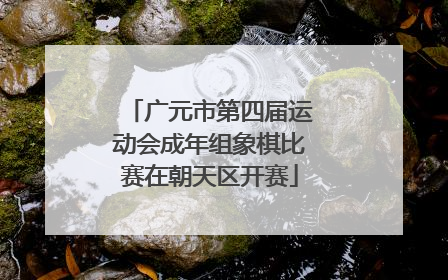 广元市第四届运动会成年组象棋比赛在朝天区开赛