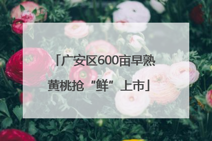 广安区600亩早熟黄桃抢“鲜”上市