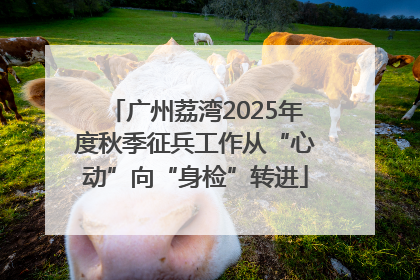 广州荔湾2025年度秋季征兵工作从“心动”向“身检”转进