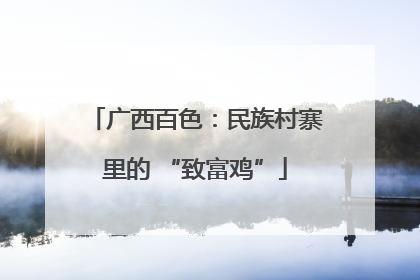 广西百色：民族村寨里的 “致富鸡”