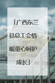 广西东兰县总工会情暖童心呵护成长