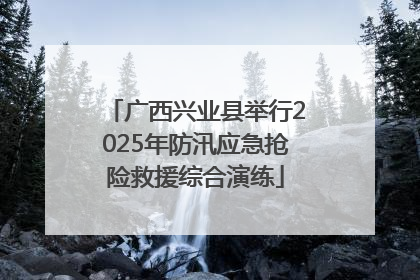 广西兴业县举行2025年防汛应急抢险救援综合演练