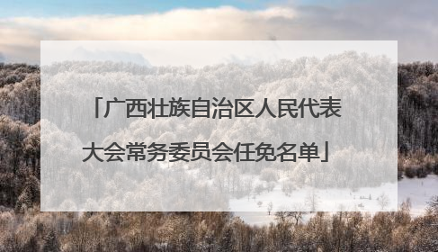 广西壮族自治区人民代表大会常务委员会任免名单