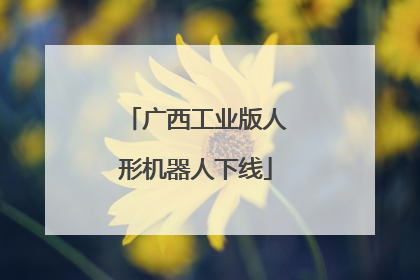 广西工业版人形机器人下线