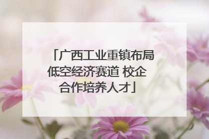 广西工业重镇布局低空经济赛道 校企合作培养人才