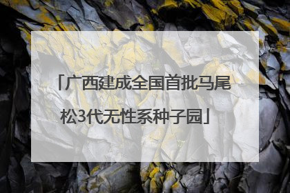 广西建成全国首批马尾松3代无性系种子园