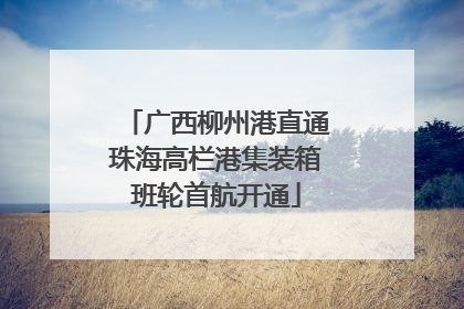 广西柳州港直通珠海高栏港集装箱班轮首航开通