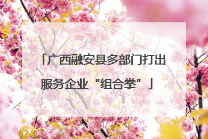 广西融安县多部门打出服务企业“组合拳”