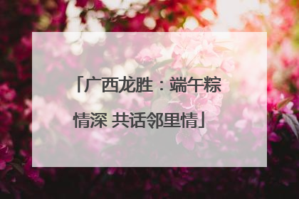 广西龙胜：端午粽情深 共话邻里情