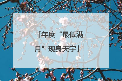 年度“最低满月”现身天宇