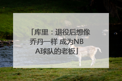 库里：退役后想像乔丹一样 成为NBA球队的老板