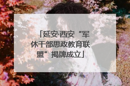 延安·西安“军休干部思政教育联盟”揭牌成立