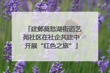 建邺莫愁湖街道艺苑社区在社企共建中开展“红色之旅”