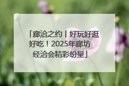 廊洽之约丨好玩好逛好吃！2025年廊坊经洽会精彩纷呈